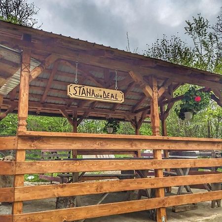 Cabana „Stâna din Deal” Provita de Sus Extérieur photo