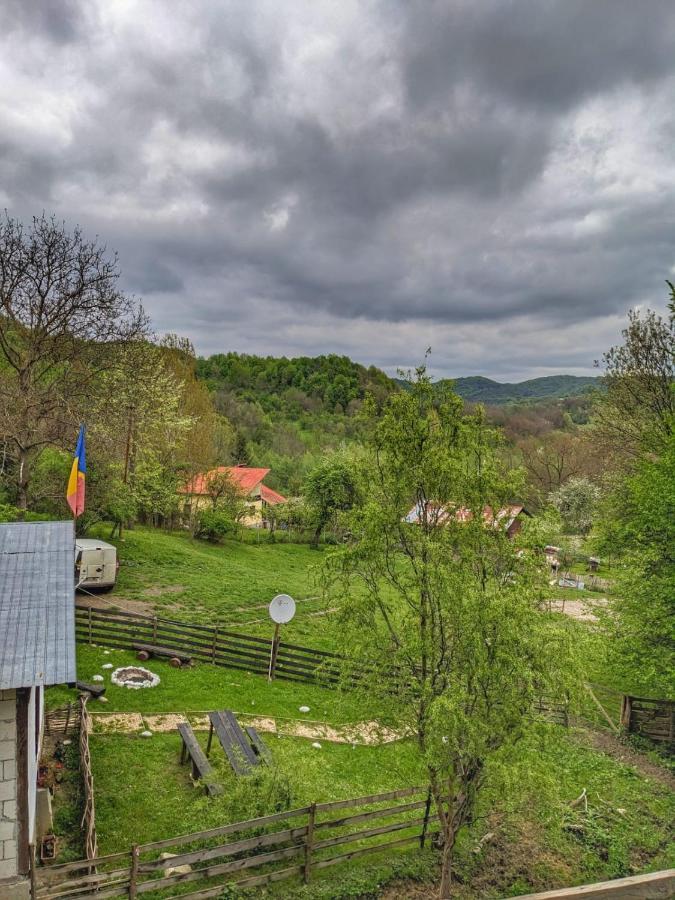 Cabana „Stâna din Deal” Provita de Sus Extérieur photo