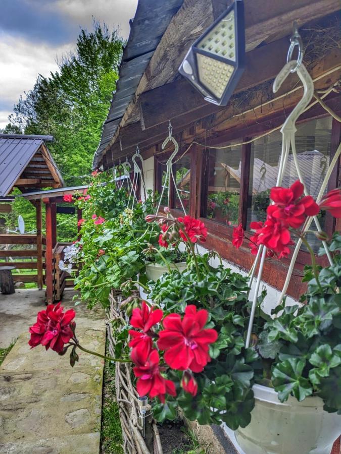 Cabana „Stâna din Deal” Provita de Sus Extérieur photo