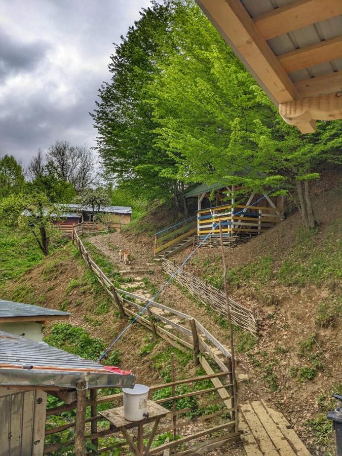 Cabana „Stâna din Deal” Provita de Sus Extérieur photo