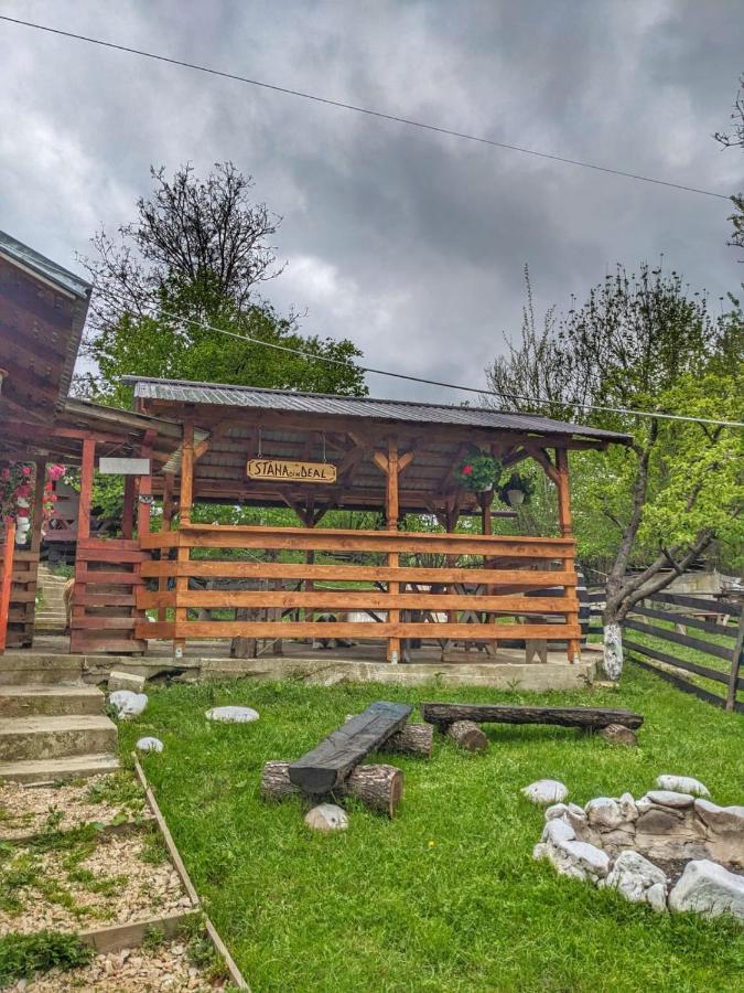 Cabana „Stâna din Deal” Provita de Sus Extérieur photo